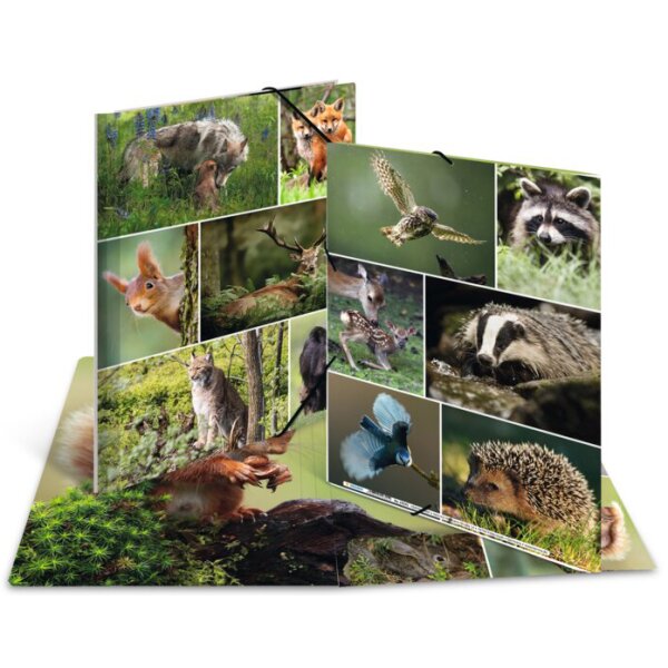 HERMA Chemise à élastiques Animaux de ferme, carton, A4