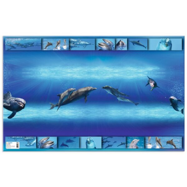 HERMA Sous-main Dauphins, (L)550 x (H)350 mm