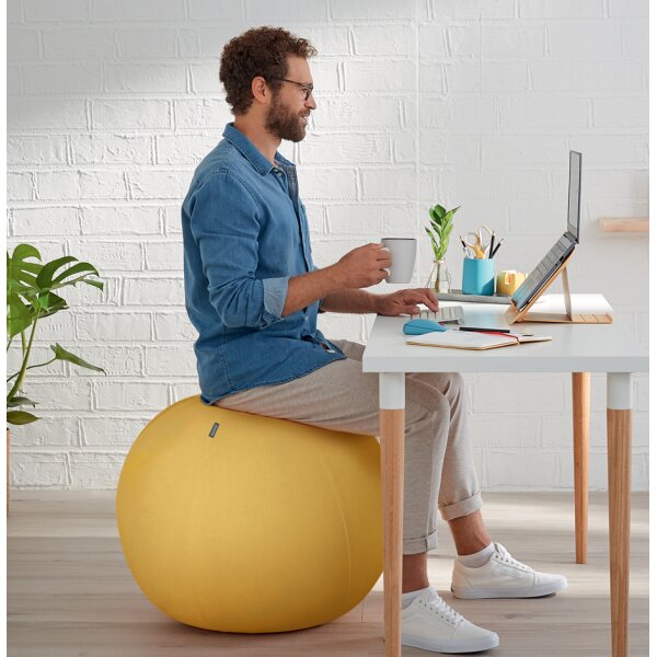 LEITZ Ballon dassise Ergo Cosy, diamètre: 650 mm, bleu