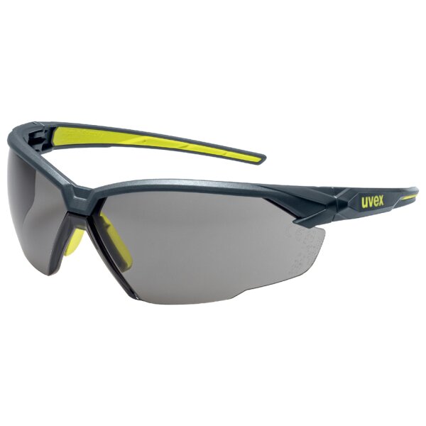uvex Lunettes de protection suXXeed, oculaires: gris