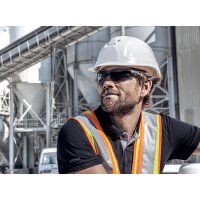 uvex Bügelbrille suXXeed, Scheibentönung: grau