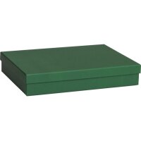 STEWO Boîte cadeau One Colour 2551782693 vert...