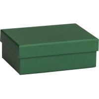 STEWO Boîte cadeau One Colour 2551782691 vert...