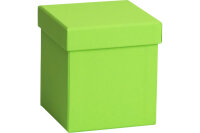 STEWO Geschenkbox One Colour 2551782890 grün hell...
