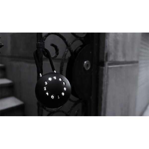 phoenix Boîte à clés PALM KS0213ES avec anse de cadenas,noir