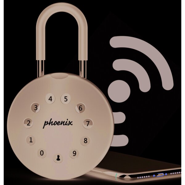 phoenix Boîte à clés PALM KS0213ES avec anse de cadenas,noir