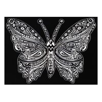 TATARUGA Samtbild A4 S29 Schmetterling