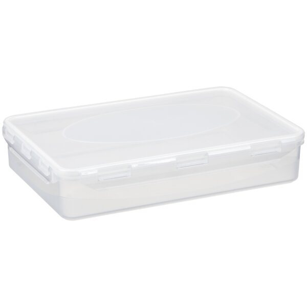 Plast team Boîte de conservation Airtight, 0,7 litre, blanc