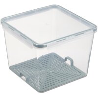 Plast team Boîte de conservation Amsterdam avec...