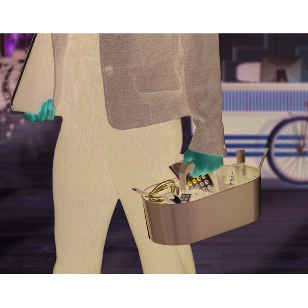 HAN Organisationsbox TOOLBOX LOFT, limegreen