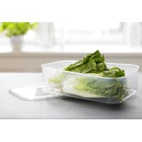 Plast team Boîte de congélation Helsinki,...