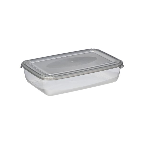 plast team Gefrierdose Polar, 0,90 Liter, blau, rechteckig