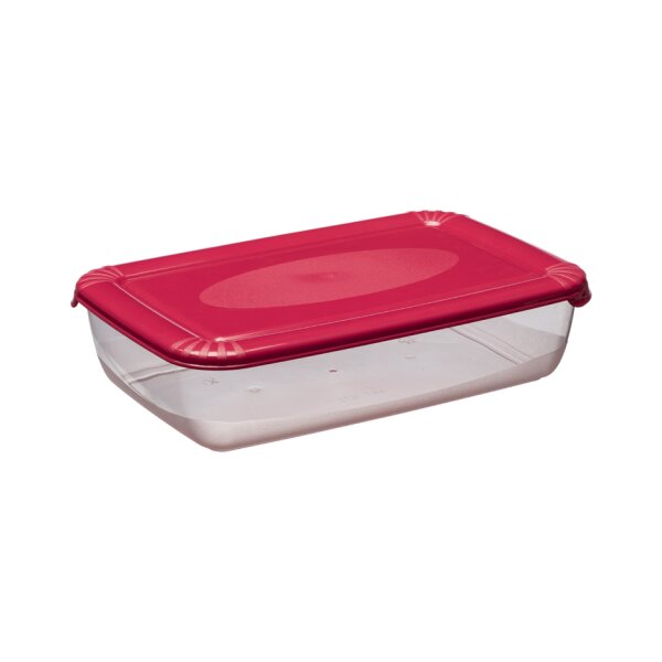 plast team Gefrierdose Polar, 1,9 Liter, grau, rechteckig