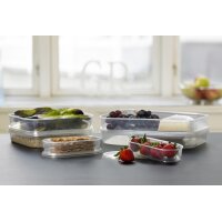 Plast team Boîte de congélation Helsinki,...