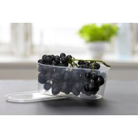 Plast team Boîte de congélation Helsinki,...