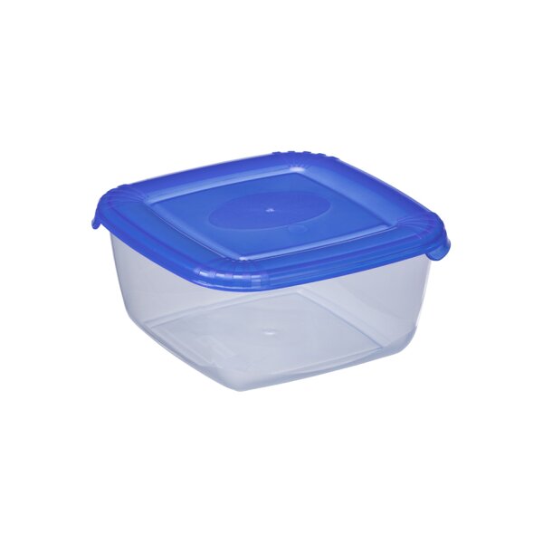 plast team Boîte de congélation Polar, 0,95 litre, gris