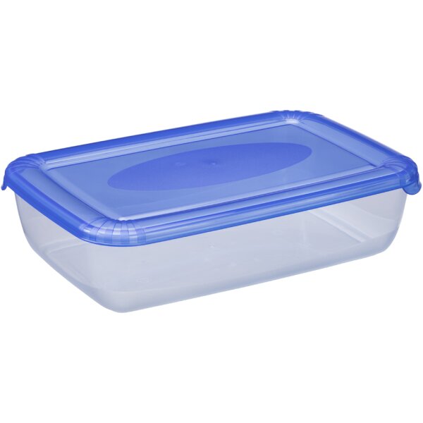 plast team Gefrierdose Polar, 3,0 Liter, blau, rechteckig