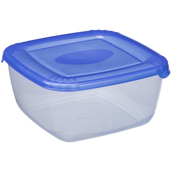 plast team Gefrierdose Polar, 0,95 Liter, blau, quadratisch