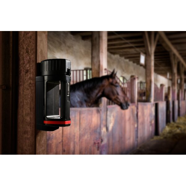 ANSMANN Projecteur portable LED HS20R Pro, noir/rouge