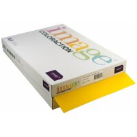 IMAGE COLORACTION Kopierpapier Hawaii A3 266412 80g,...