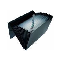 DUFCO Expanding File A4 51500.03679 schwarz 12 Fächer
