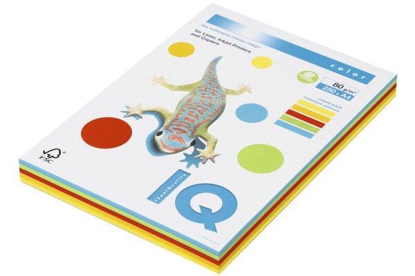IQ Copying Paper Color A4 300537 80g coloré 250 feuilles