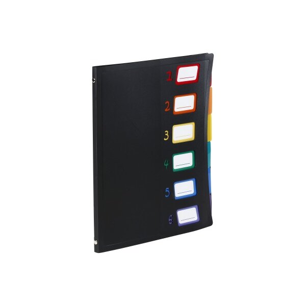 VIQUEL Pultmappe A4 493067 A4 1-6 schwarz/bunt
