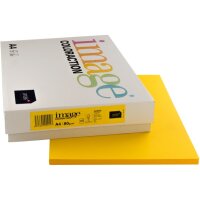 IMAGE COLORACTION Kopierpapier Hawaii A4 274569 80g...