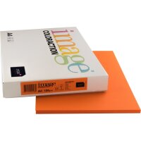 IMAGE COLORACTION Kopierpapier Amsterdam A4 266656 120g,...