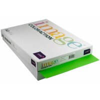 IMAGE COLORACTION Kopierpapier Dublin A3 385124 80g,...