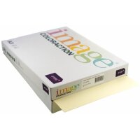 IMAGE COLORACTION Kopierpapier Atoll A3 294349 80g,...