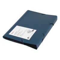 DUFCO Expanding File A4 13 Fächer blau metallic 13...