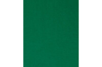 I AM CREATIVE Papier de soie 4073.13 50x70cm, vert...