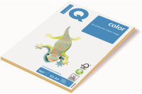 IQ Copying Paper Color A4 300540 160g pak 50 flls.