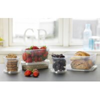 plast team Set de 4 boîtes de congélation...