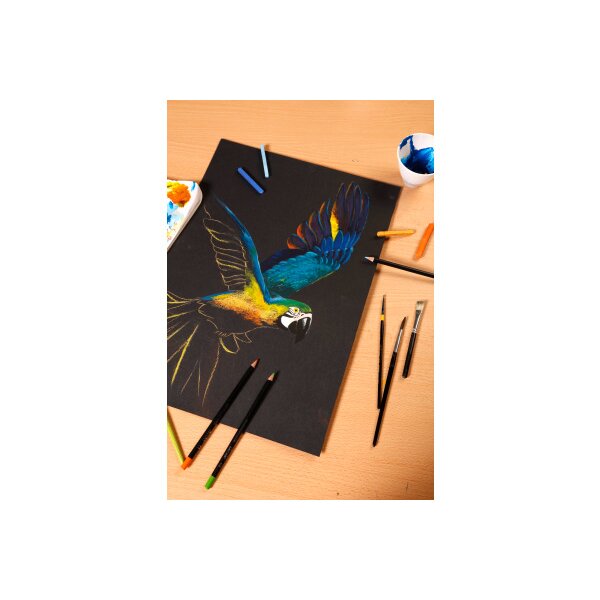 CLAIREFONTAINE PaintOn A3 975170C Noir, 250g 20 feuilles