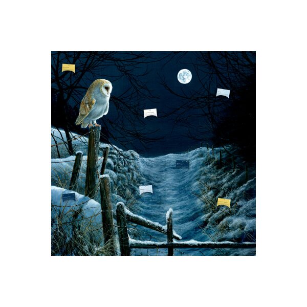 COPPENRATH Zettelkalender 72562 Magie u. Mythos der Weihnacht