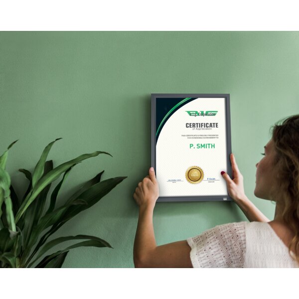 nobo Plakatrahmen Impression Pro, DIN A4, silber