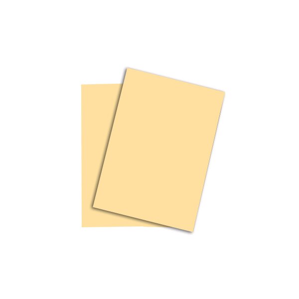 RAINBOW Papier hellchamois/03 A4 88042250 hellchamois, 80g 500 Blatt