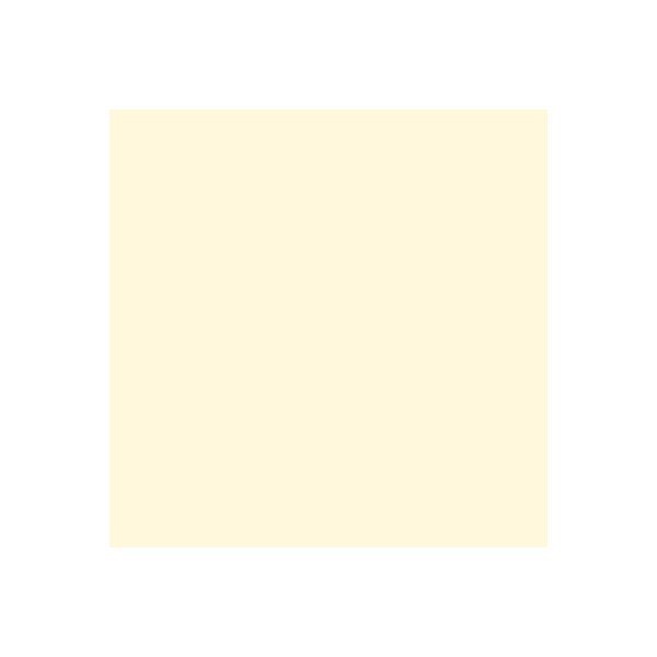 RAINBOW Papier hellchamois/03 A4 88042250 hellchamois, 80g 500 Blatt
