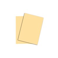 PAPYRUS Rainbow Papier FSC A4 88042250 hellchamois, 80g...