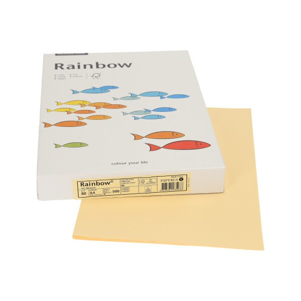 RAINBOW Papier chamois/06 A4 88042276 FSC, 80g 500 feuilles