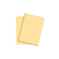 PAPYRUS Rainbow Papier FSC A4 88042276 80g, chamois 500...