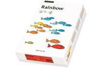 PAPYRUS Rainbow Papier FSC A4 88042410 mittelorange, 80g...