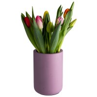 APS Rafraîchisseur de bouteille ELEMENT,...