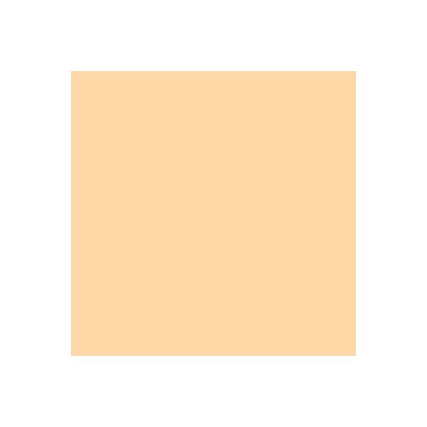 PAPYRUS Rainbow Papier FSC A4 88042498 80g, lachs 500 Blatt