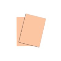 PAPYRUS Rainbow Papier FSC A4 88042498 80g, lachs 500 Blatt