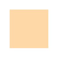 PAPYRUS Rainbow Papier FSC A4 88042498 80g, lachs 500 Blatt