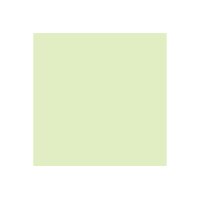 PAPYRUS Rainbow Papier FSC A4 88042586 hellgrün, 80g 500 Blatt