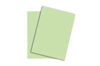 PAPYRUS Rainbow Paper FSC A4 88042630 80g, vert clair 500...